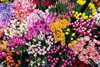 《餐车大亨》9月15日登陆Steam PC配置公开